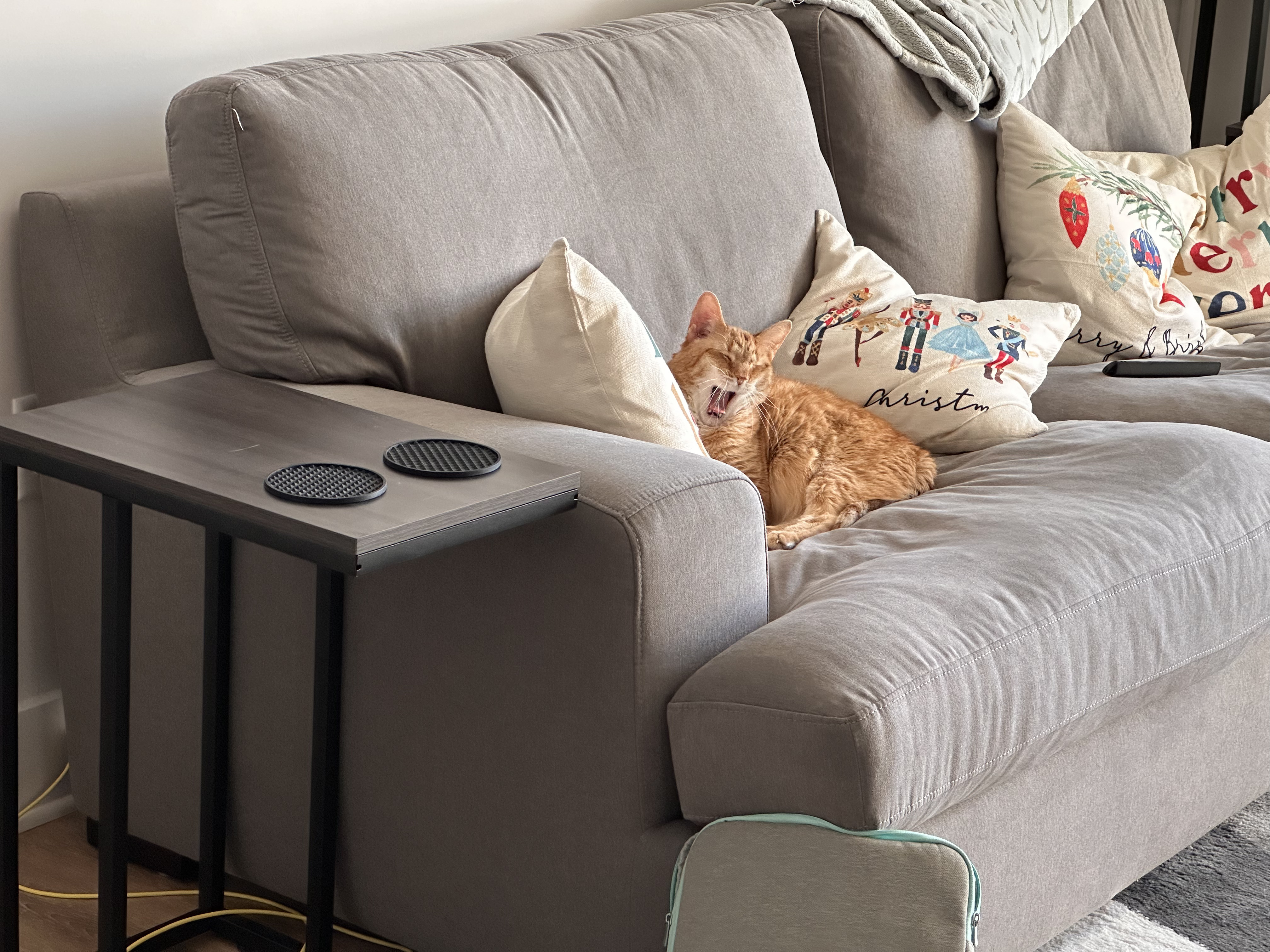 Random Image of Little Man