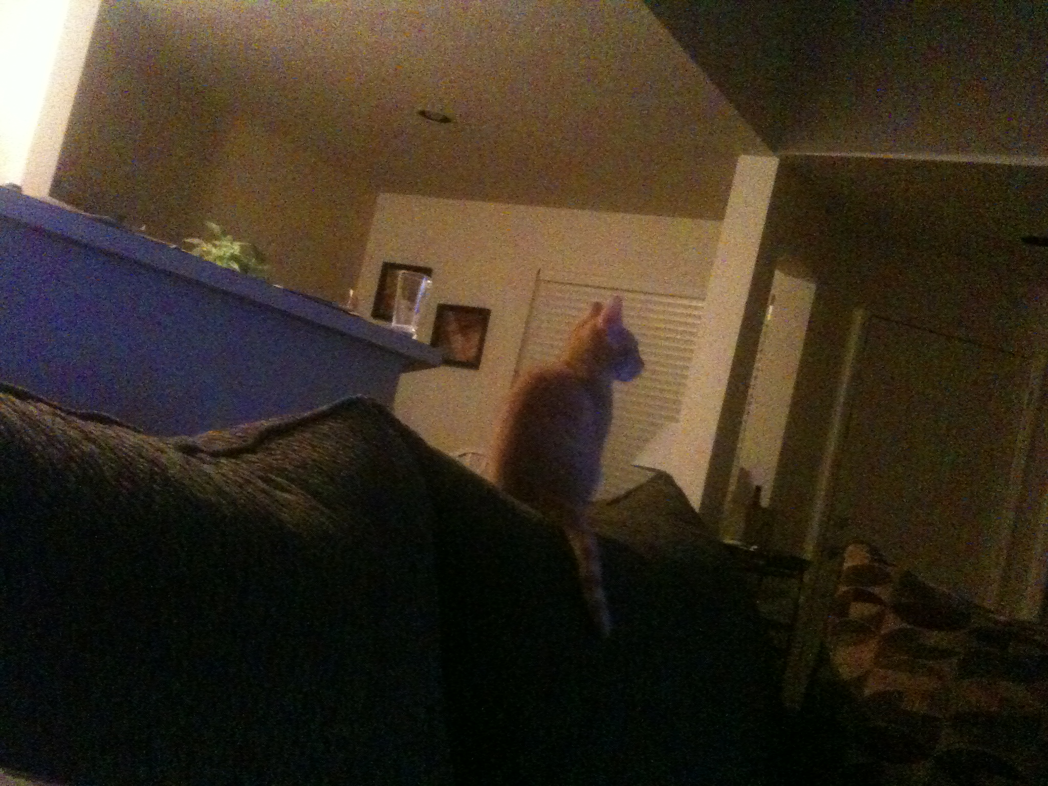 Random Image of Little Man