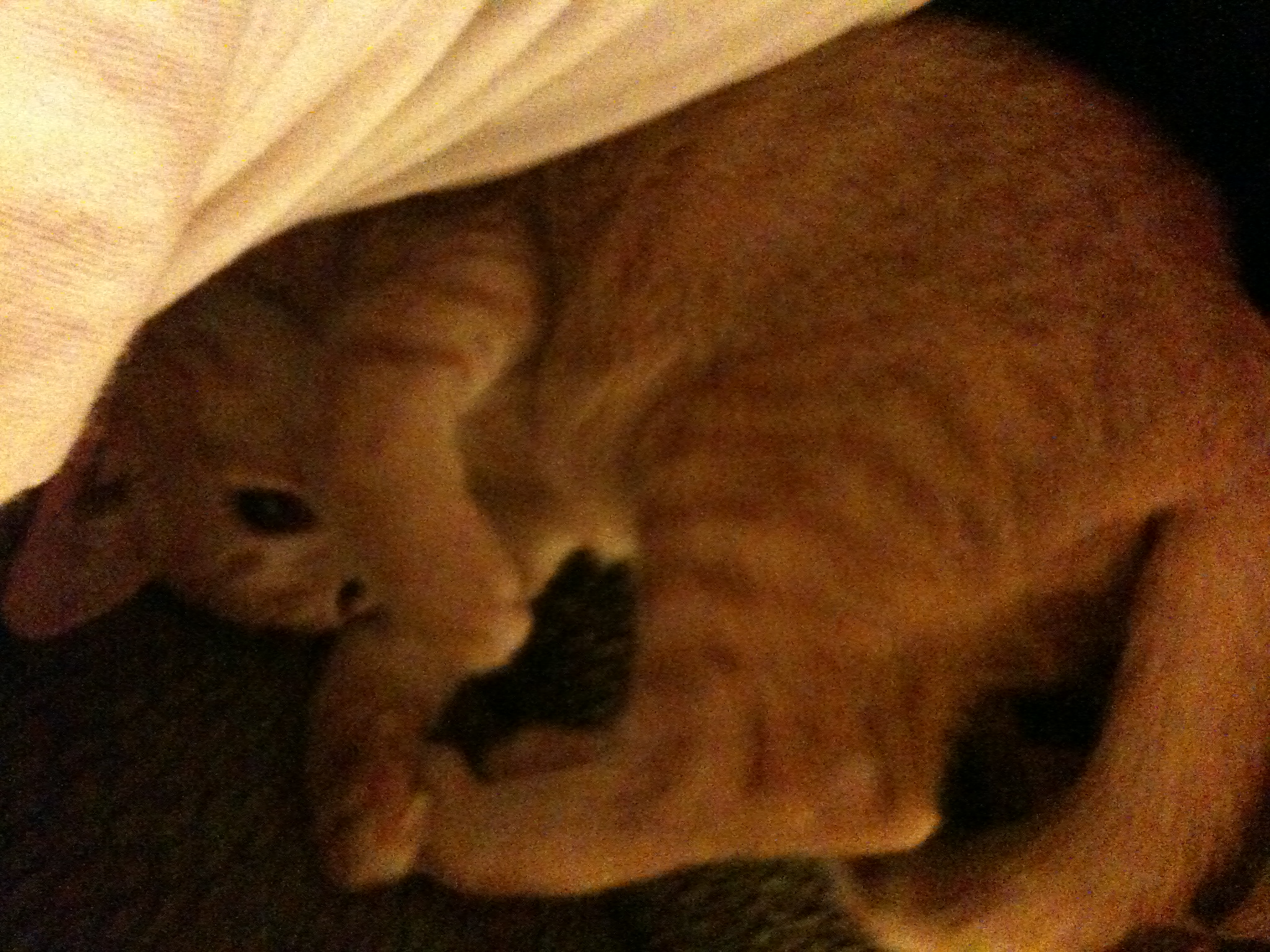 Random Image of Little Man