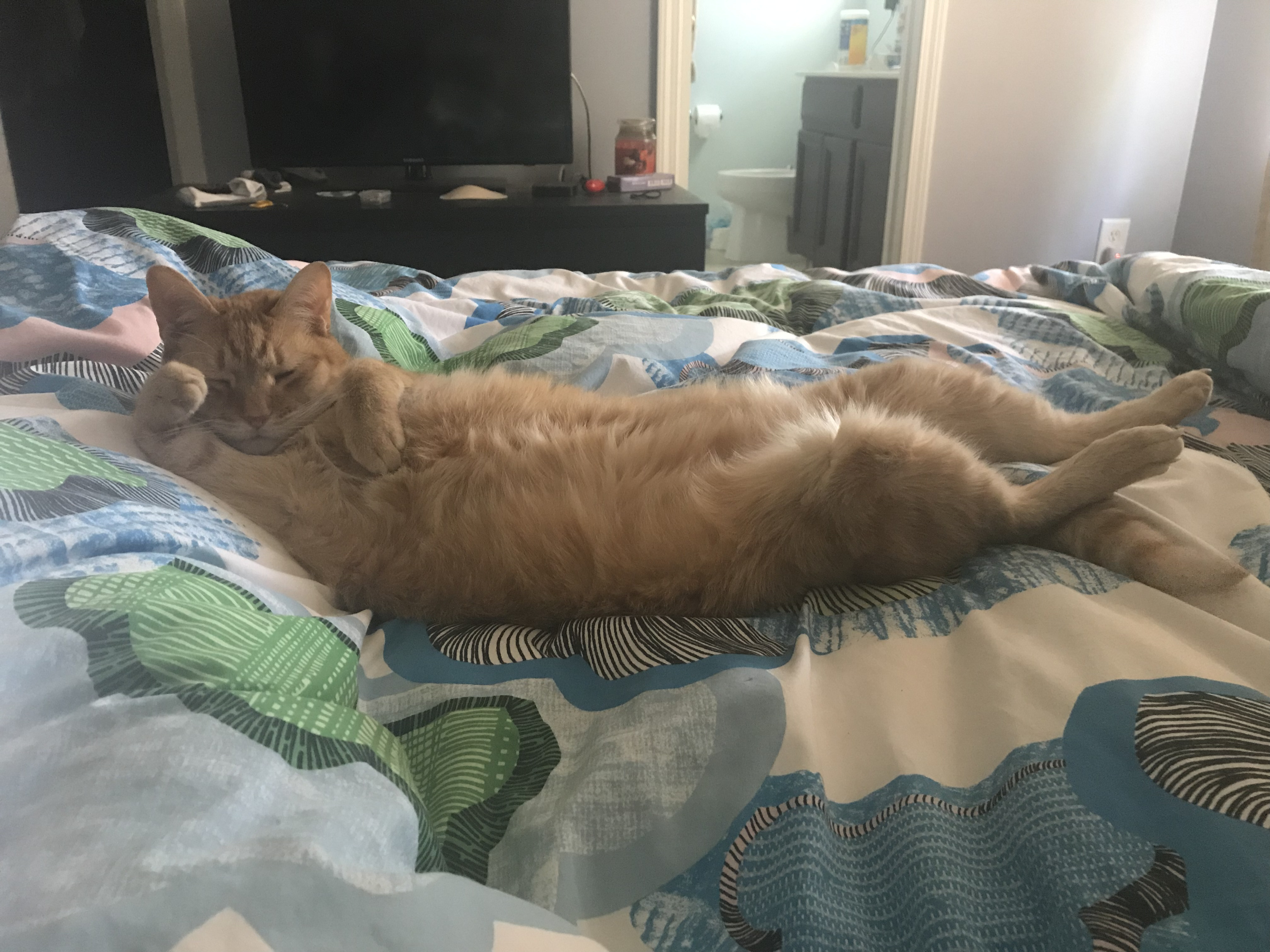 Random Image of Little Man