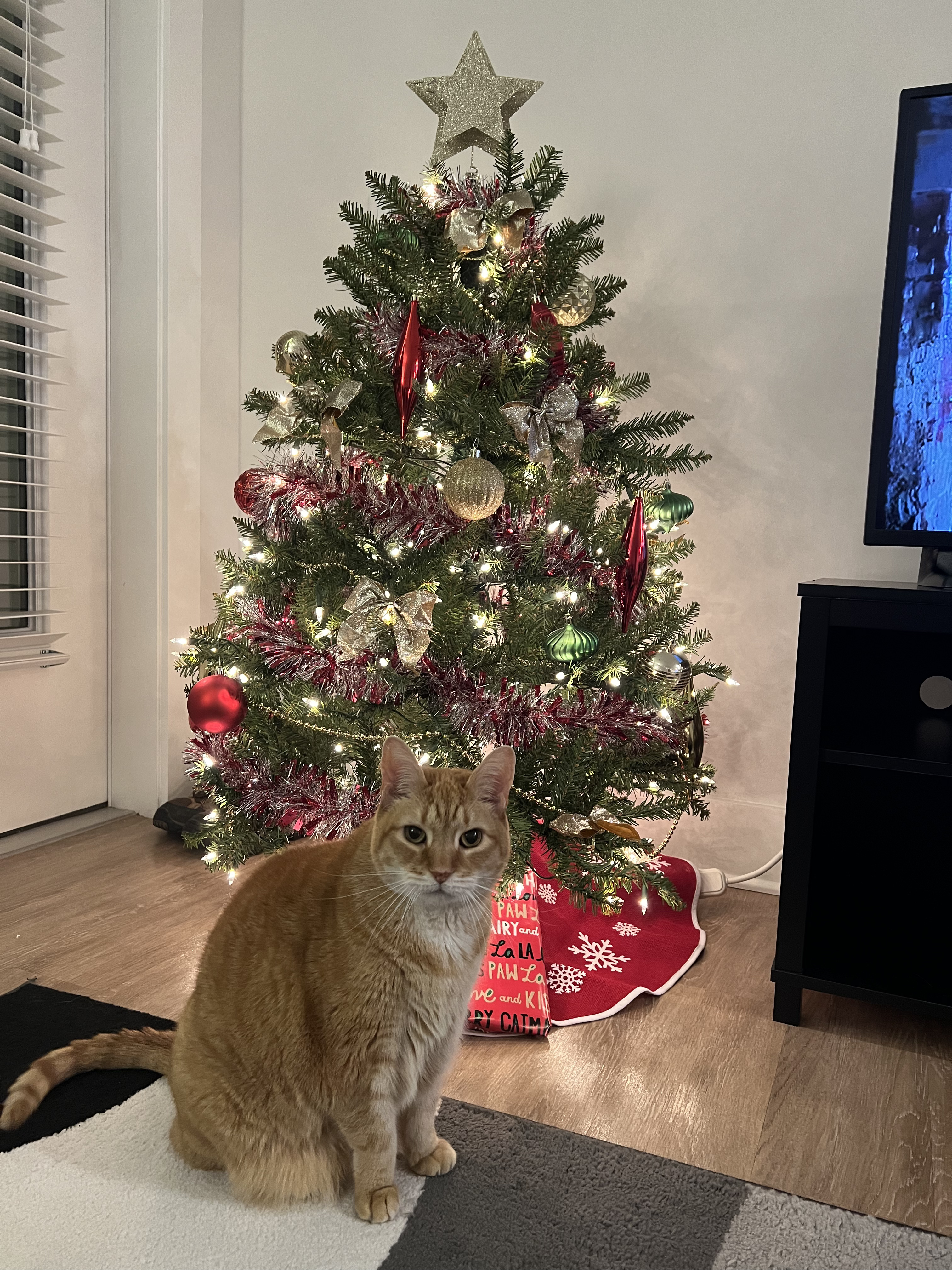 Random Image of Little Man